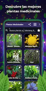 Plantas medicinales y sus usos