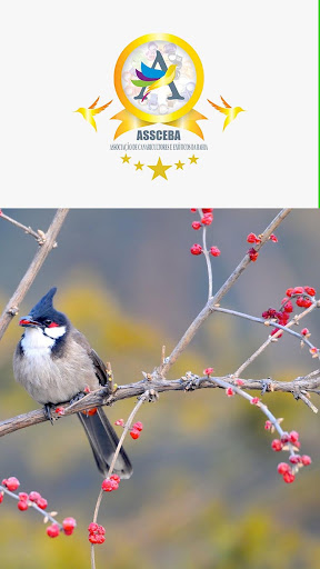 Assceba Associação de Canaricu