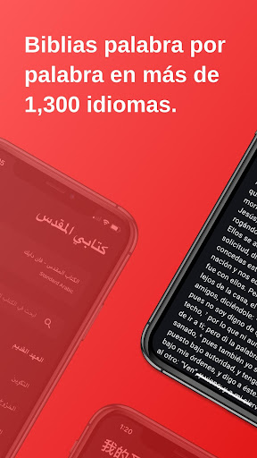 Vista previa de la aplicación