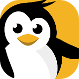 dataplicity - Terminal for Pi icon