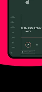 DJ Malam Pagi Remik Offline