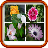 Flower Puzzle Game icon