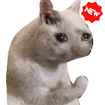 Funny Cat Memes Stickers WAStickerApps Apk