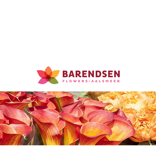Barendsen Flower Shop logo