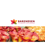 Barendsen Flower Shop icon