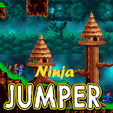 Ninja Jumper icon