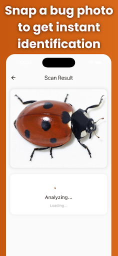 Bug Identifier AI Scanner