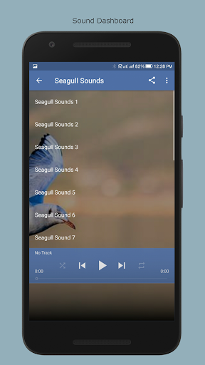 Seagull Sounds Screen 2