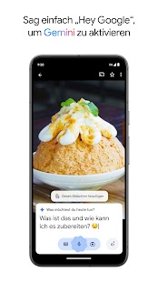 Google Gemini Screenshot