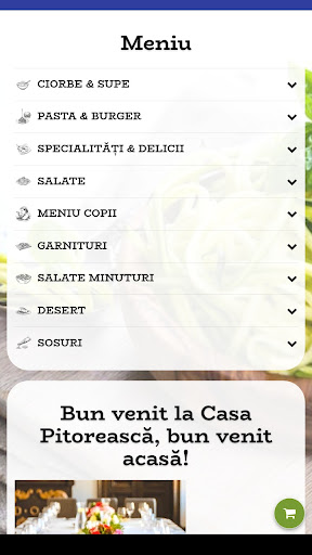 Casa Pitorească Screenshot