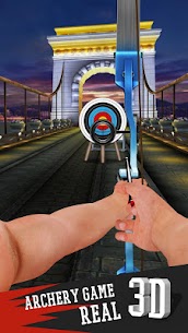 Archery 4