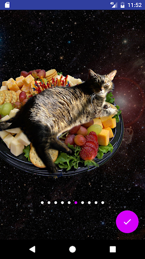 Cats In Space HD Wallpapers Screen 3