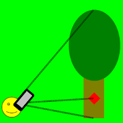 Tree Height Measurement