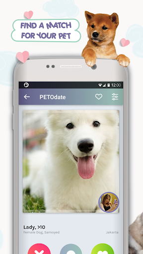 PETO: pet grooming & adoption Screen 3