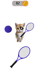 Cat Meow Tennis Sport Battle