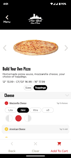 Screenshot of NYPP