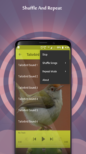Tailorbird Sounds Screen 3