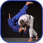 Judo in brief Apk