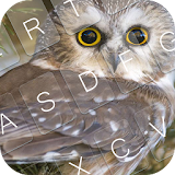 Sweet Owl Keyboard Theme icon