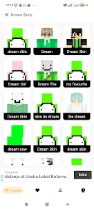 Skins Dream for Minecraft PE