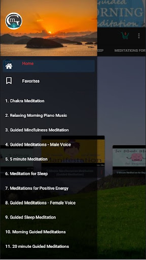 Great Meditation Screen 2