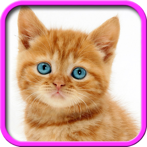 Talking, Dancing Cat. 1.1.7 Icon