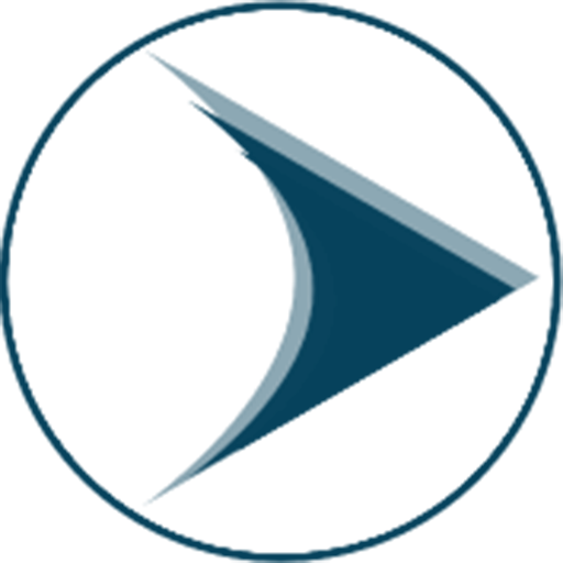PACE HSE logo