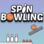 Spin Bowling Game