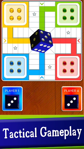 Ludo Sandi Screen 3