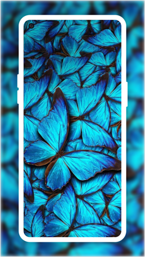 Android application Butterfly Wallpapers screenshort