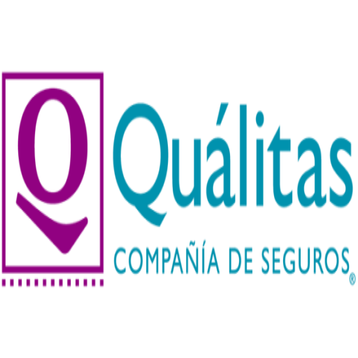QVisitas Gestor logo
