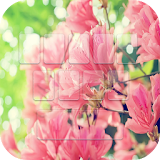 Spring Flowers Keypad Theme icon