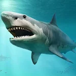 Cover Image of 下载 Shark Wallpapers 10.21.1002.shark APK