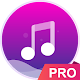 Music player - pro version Windows에서 다운로드