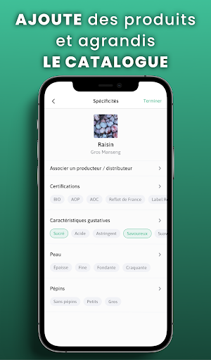 Ouitaste  Le réseau 100 Food