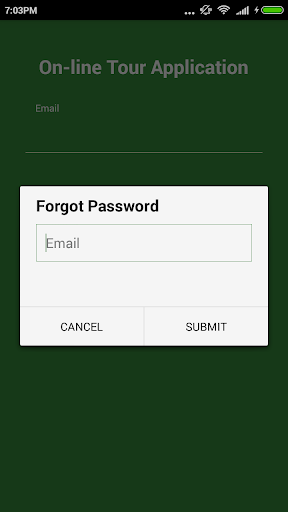 On-line Tour Application Screen 2