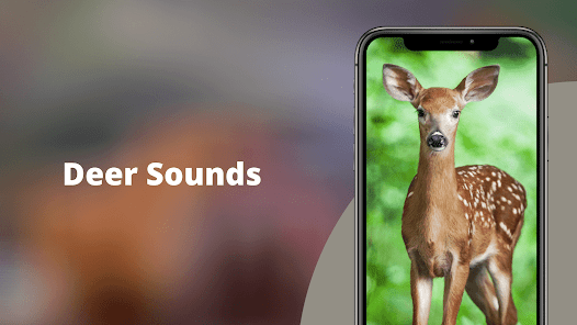 Captura 1 Deer sounds - Hunting Calls android