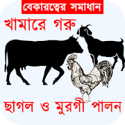 খামারে গরু,ছাগল ও মুরগী পালন পদ্ধতি