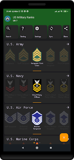 US military ranks