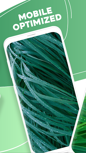 Green Grass Live Wallpaper HD - Latest version for Android - Download APK