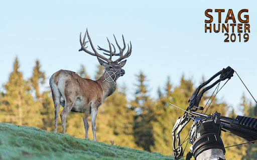 Stag Hunter 2019: Bow Deer Shooting Games FPS 1.1 screenshots 1