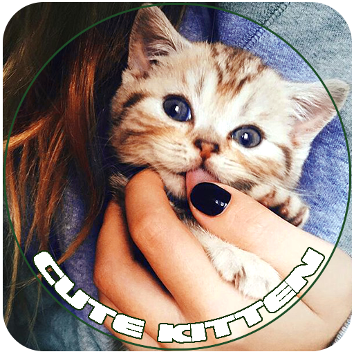 Cute Kittens logo