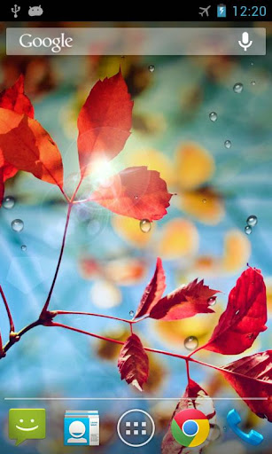 Rains Live Wallpaper Screen 2