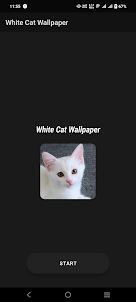 White Cat Wallpaper