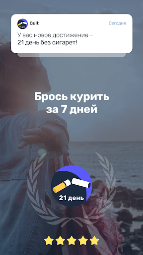 Предварительный просмотр приложения
