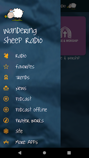 Android application Wandering Sheep Radio screenshort