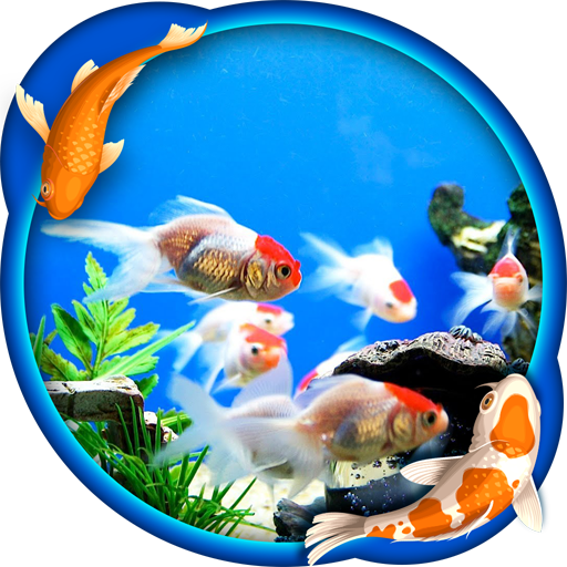 水族館ライブ壁紙 Google Play のアプリ