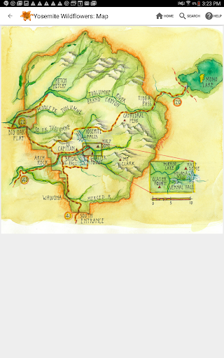 Screenshot of Yosemite Wildflowers