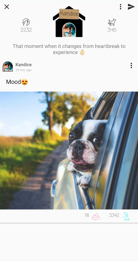 Android application dog.0 screenshort