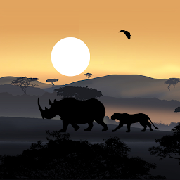 Icon image African Sunset Live Wallpaper